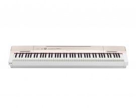 Цифровое пианино Casio Privia PX-160GD
