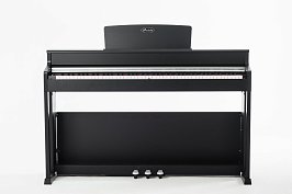 Цифровое пианино Beisite B-808 Pro