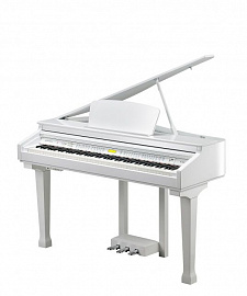 Цифровое пианино Kurzweil KAG100 WHP