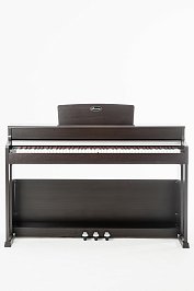 Цифровое пианино Beisite B-808 Pro