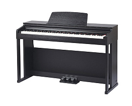Цифровое пианино Medeli DP280K BK